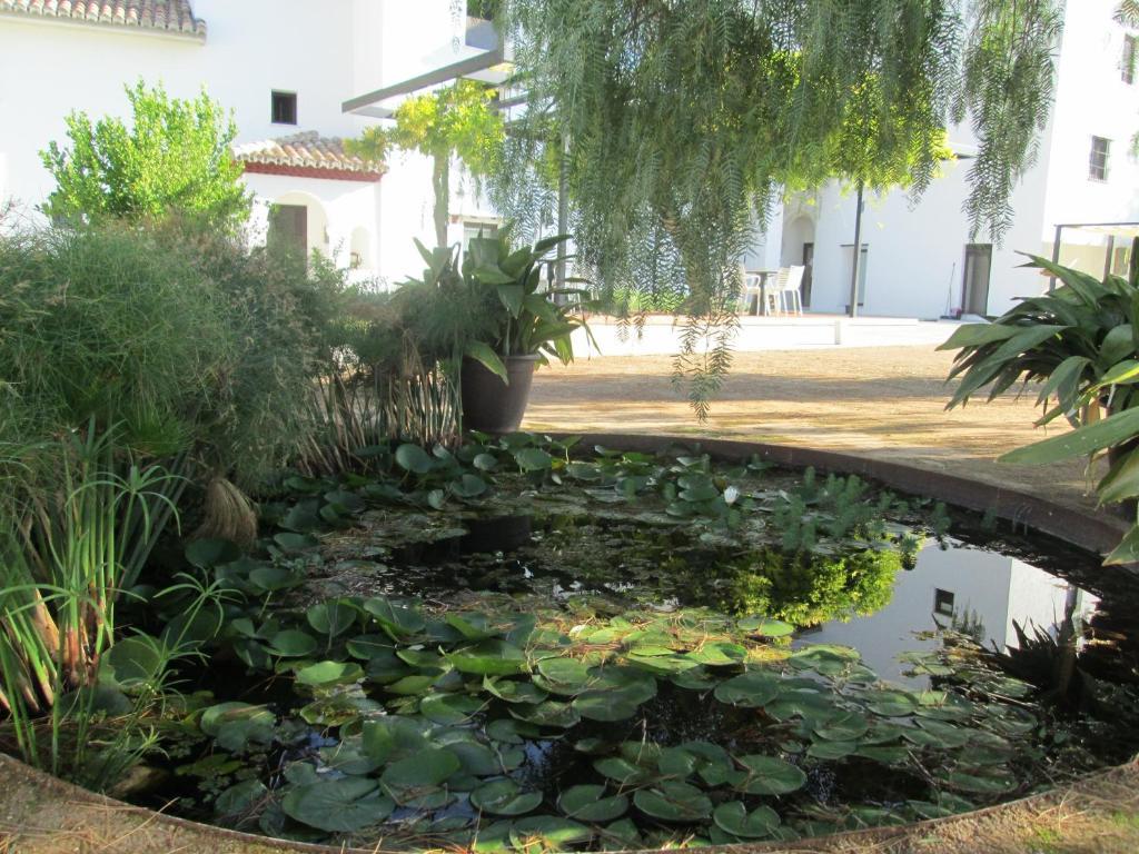 Finca La Marquesa グラナダ エクステリア 写真
